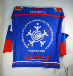 Свитер фанатский Демино